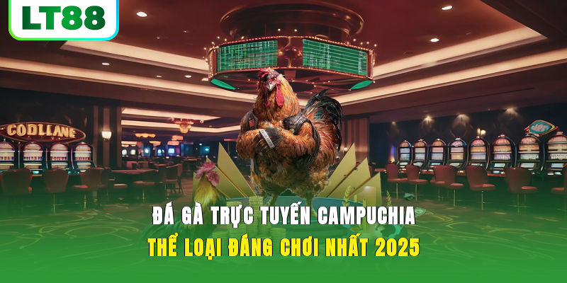 Đá Gà Trực Tuyến Campuchia - Sảnh Gà Uy Tín, Đáng Để Chọn